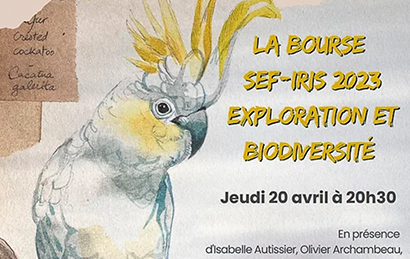 visuel bourse SEF-IRIS