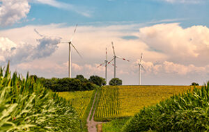 éoliennes agriculture