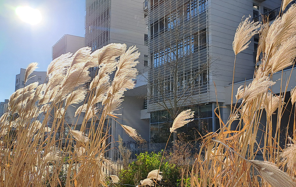 campus condorcet