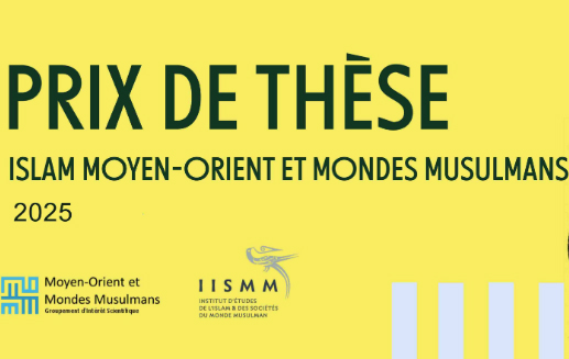 visuel prix de thèse IMMOM
